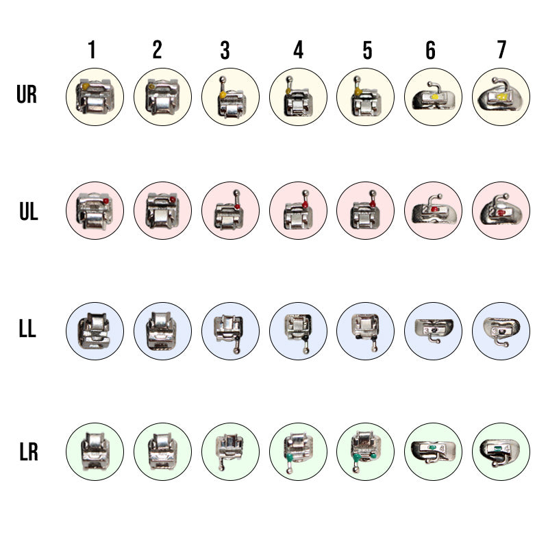Captain Damon SL Brackets with Tubes & Wires - Libral Traders