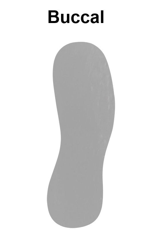 Shree Single Sided Acrylic Photographic Mirrors - Libral Traders