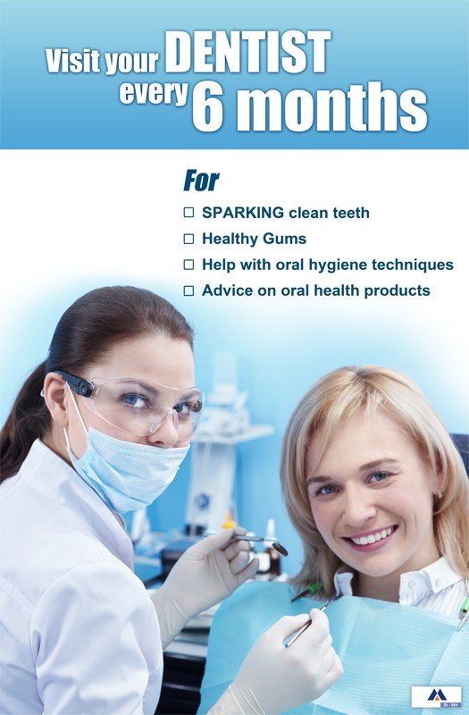 Poster English Visit Your Dentist Every 6 Months - 084 - Libral Traders