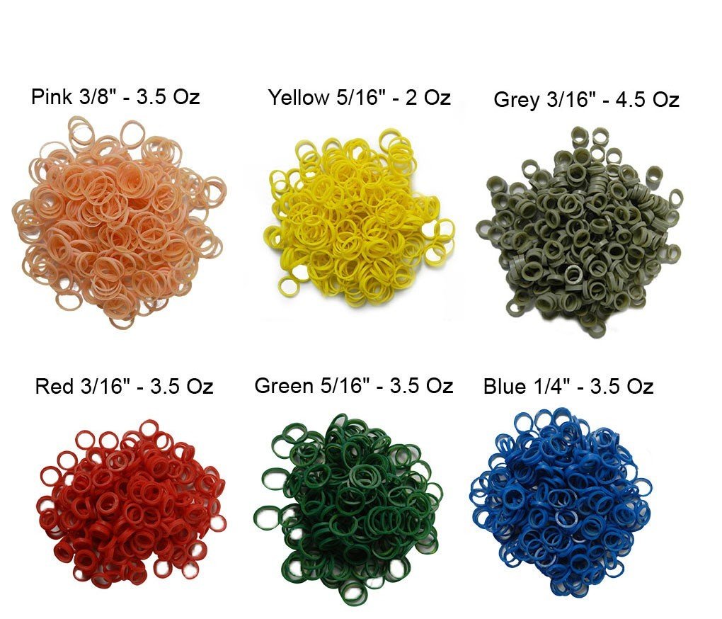Centrino Bangle Colour Elastics - Libral Traders