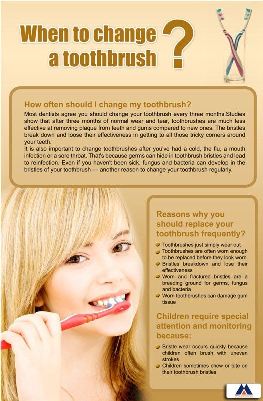 Poster English When to Change a Toothbrush - 040 - Libral Traders