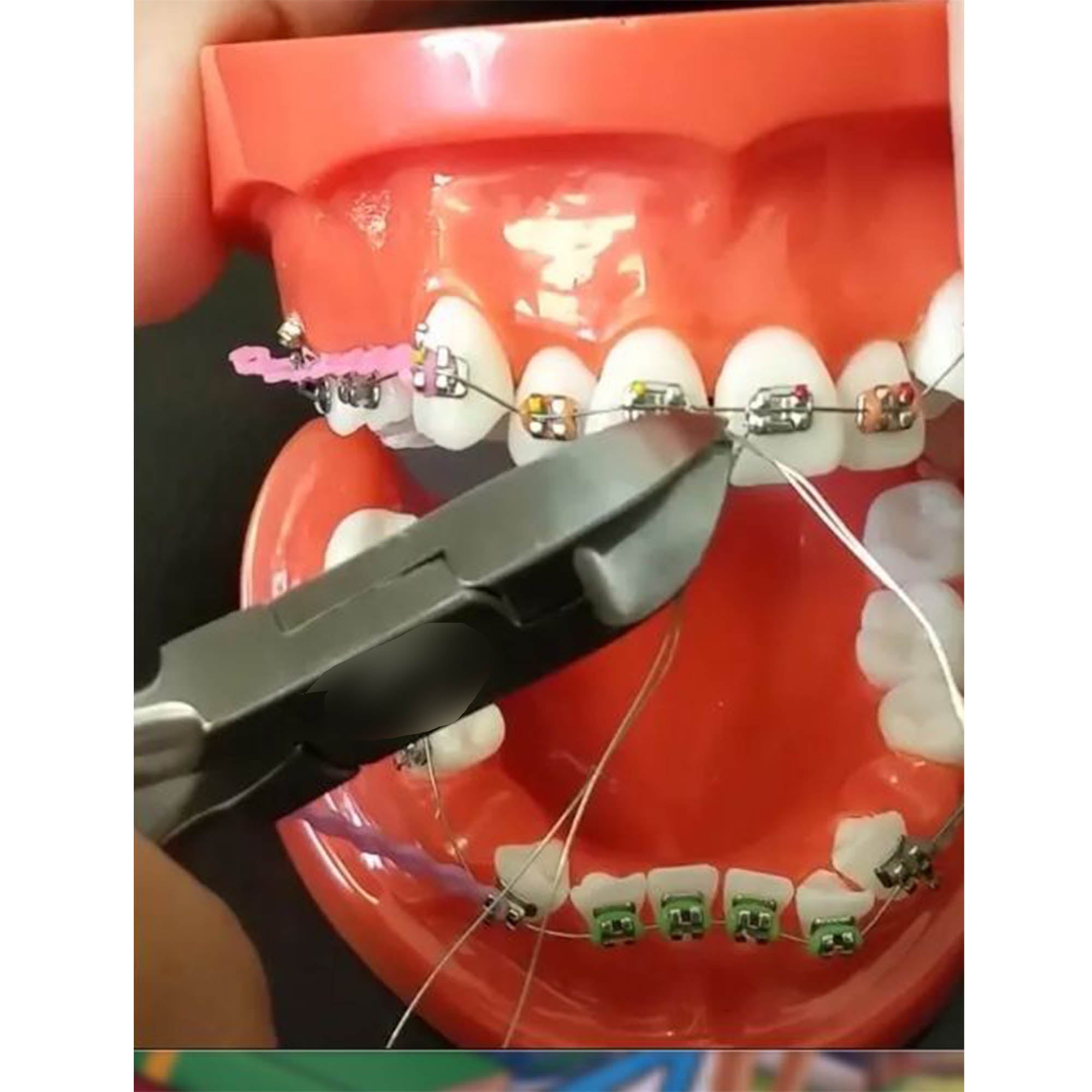 Shree Archwire Cutter - Libral Traders