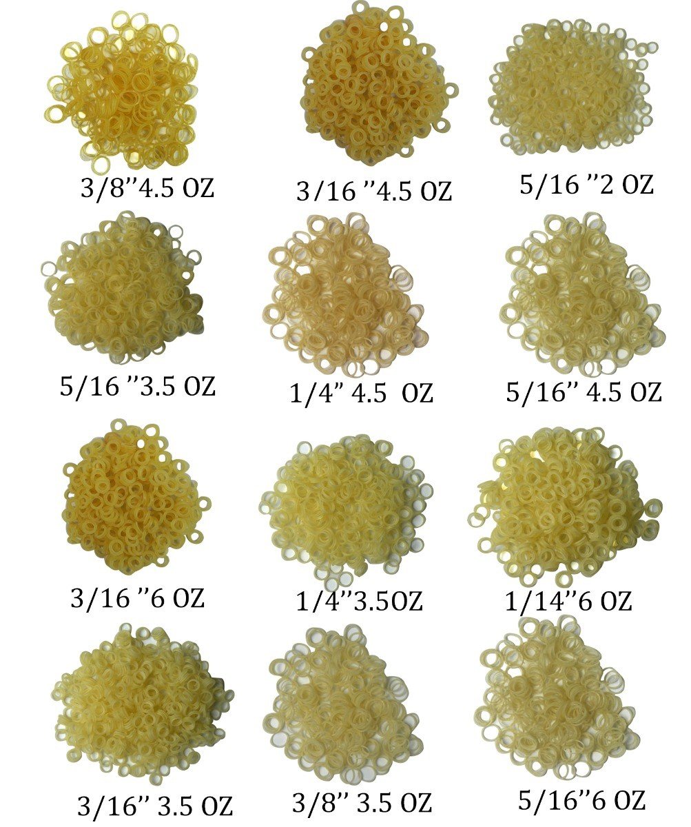 TP Ortho Plain Latex Tooth Colour Elastics - Libral Traders