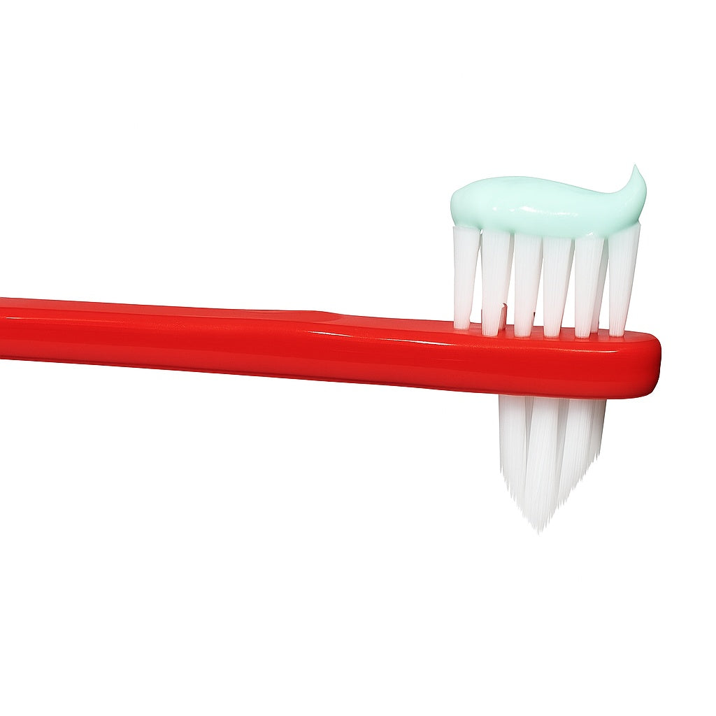 STIM Denture Brush