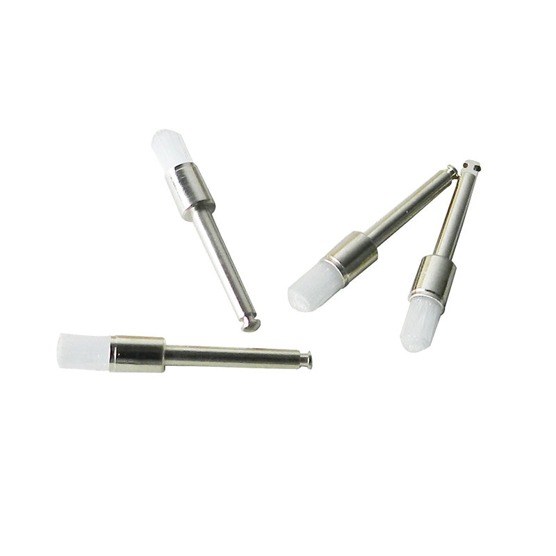LD Prophy Brush