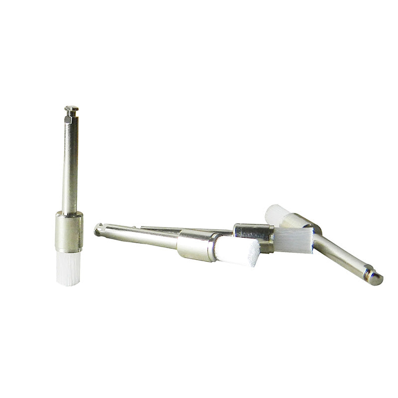 LD Prophy Brush