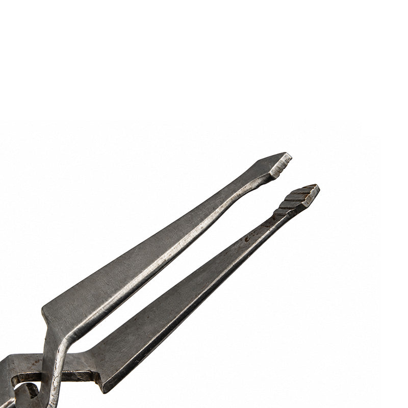 Shree Orthodontics Shree Bracket Holder Anterior Square Tips forceps for dental bracket placement, with stainless steel tips.
