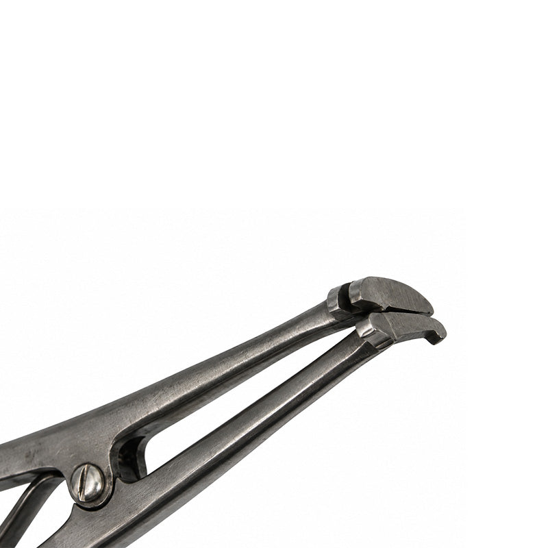 Shree Orthodontics anterior band forming plier used for banding in orthodontic procedures, shown in a close-up image.