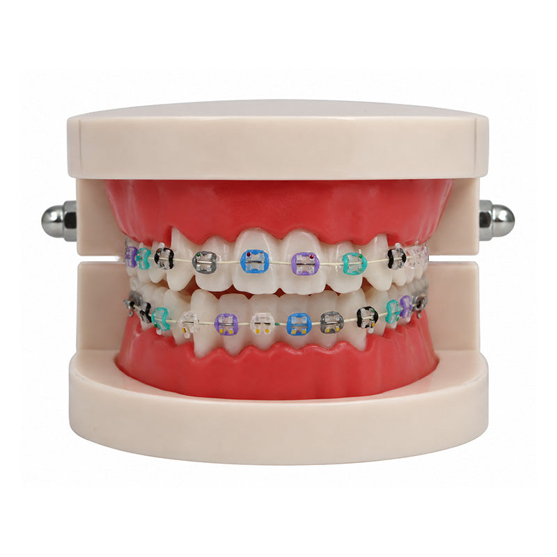 Axim Ceramic Brackets Roth & MBT aesthetic brackets for braces, shown in a close-up image with clear, smooth ceramic surface.