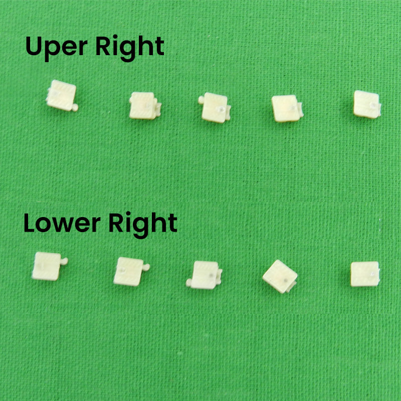 Axim Ceramic Brackets - Libral Traders