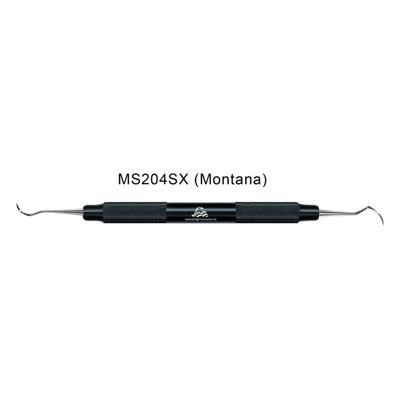 American Eagle Scaler 204S Montana periodontal instrument with black resin handle, used for dental cleaning and plaque removal.