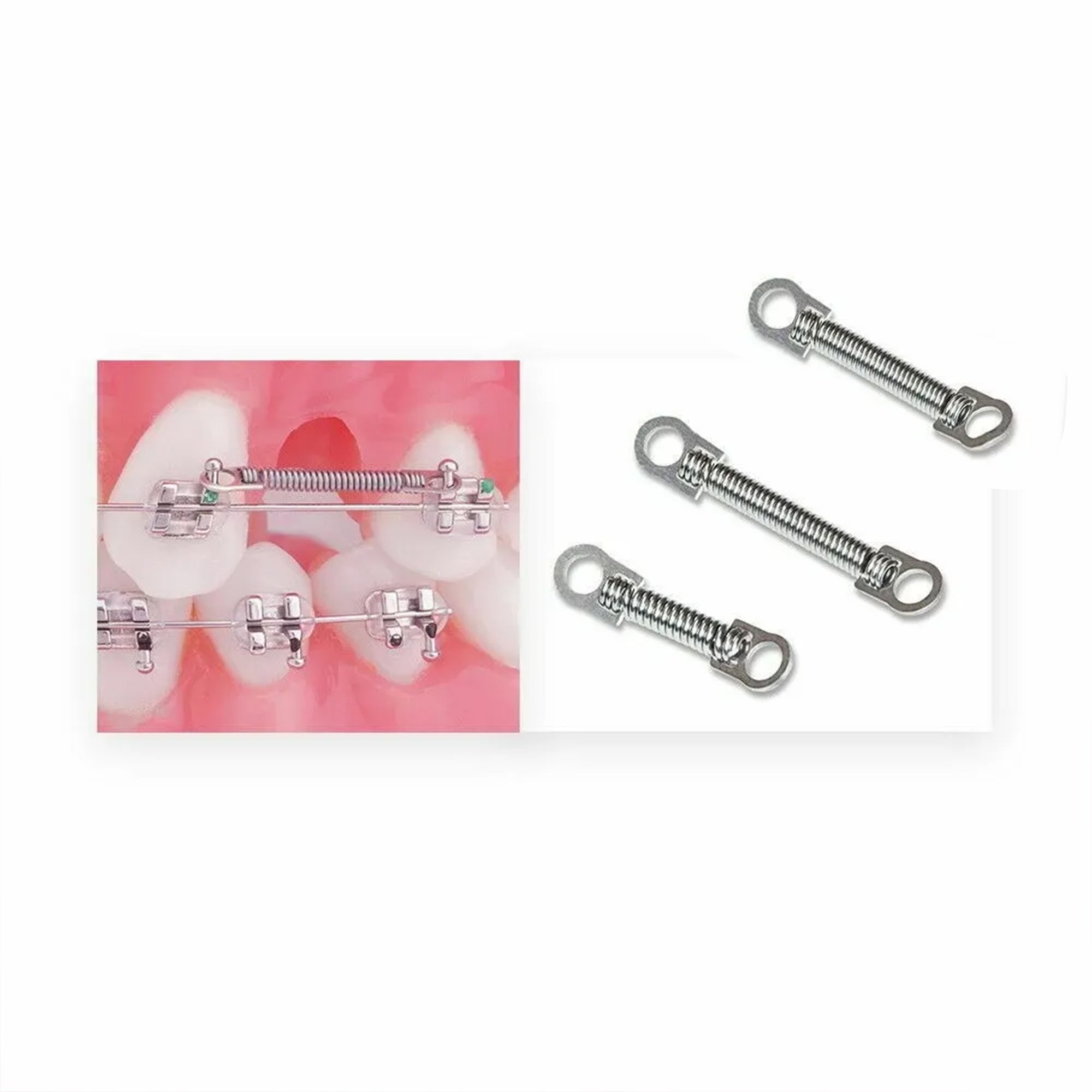 Axim Niti closed coil springs with eyelets, 12mm diameter, made of high-quality nitinol for flexible, durable spring action.
