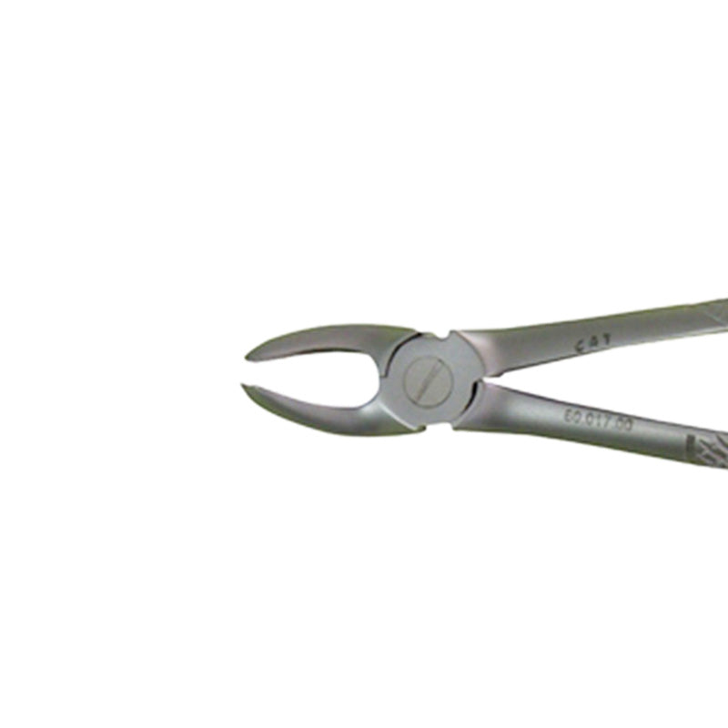 CAT Instruments adult upper molar right extraction forceps for precise dental procedures in veterinary dentistry.