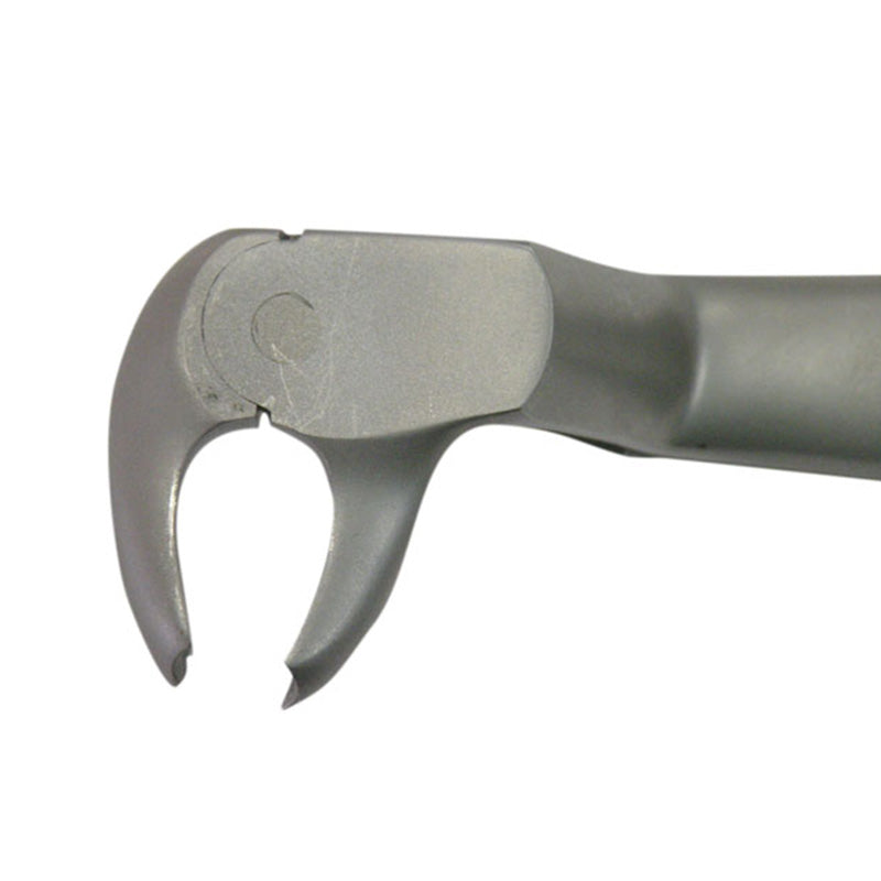 CAT Instruments adult wisdom tooth extraction forceps, Routurier right, used for precise dental wisdom tooth removal.