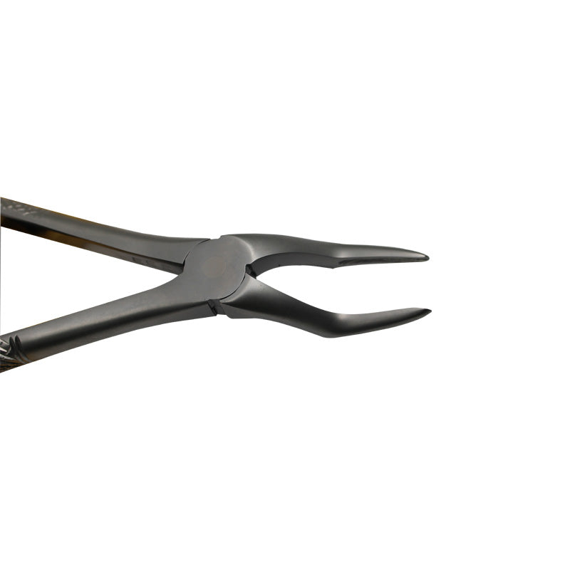 CAT Instruments adult extraction forceps with regular beak for upper and lower tooth roots, designed for dental extractions.