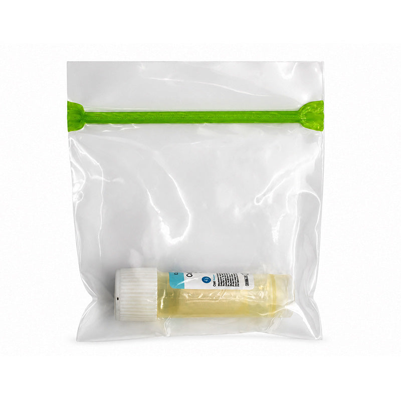 Sterile resorbable collagen sponge membrane plug by Cologenesis Healthcare, 8x20mm, used for medical or dental applications