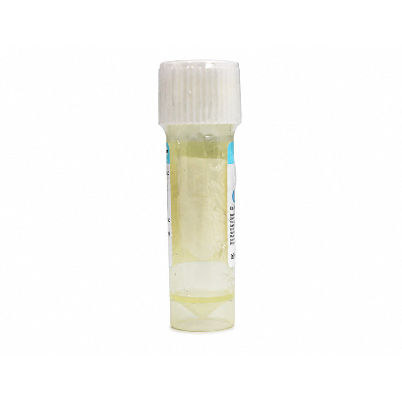 Cologenesis Healthcare Colo Plug sterile resorbable collagen sponge membrane, 8x20 mm for medical or dental procedures