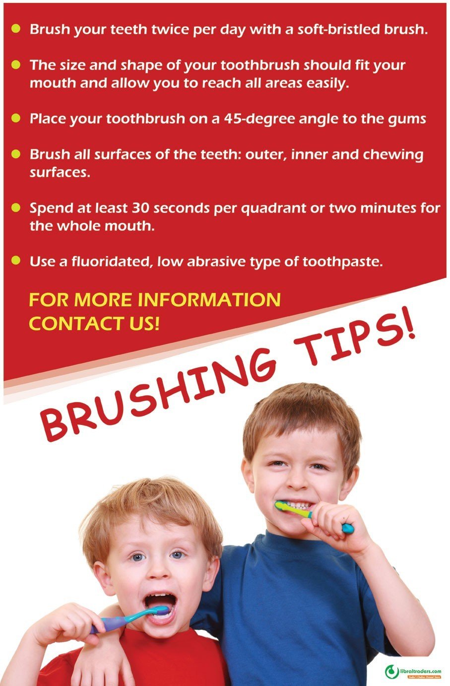 Poster English Brushing Tips - 087 - Libral Traders