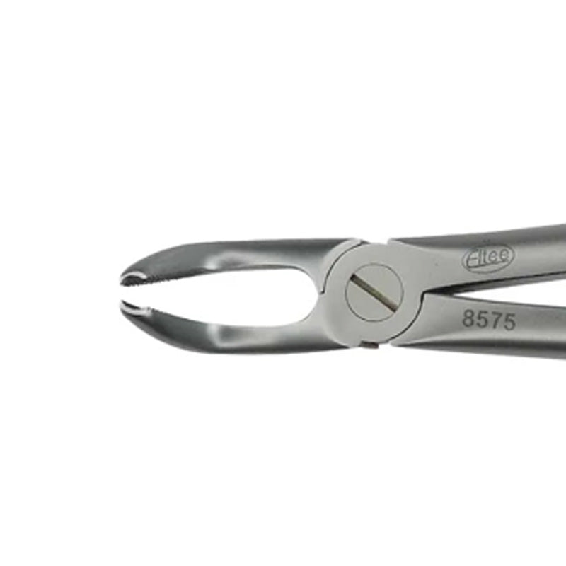 Eltee adult lower wisdom extraction forceps showing stainless steel dental instrument with ergonomic handles