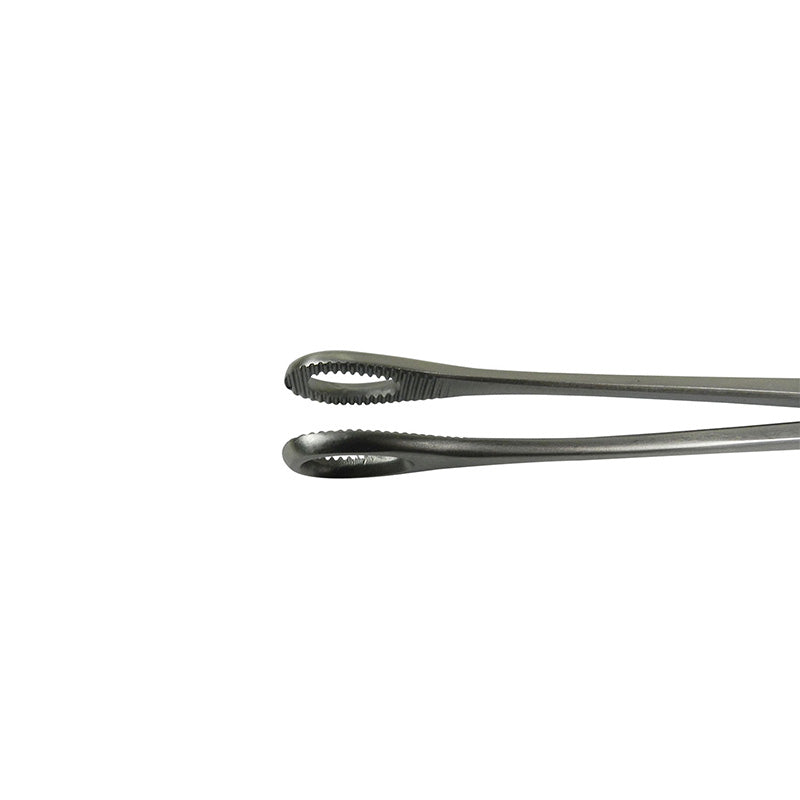 Fox Surgical Fox Foerster Sponge & Dressing Forceps, straight 25 cm, stainless steel surgical cotton and dressing forceps.