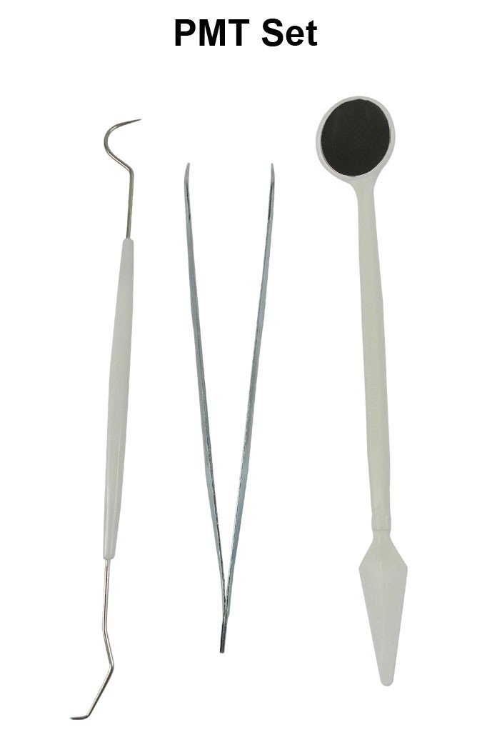LD Disposable PMT Set 5-pack for dental diagnostics, includes sterile disposable tools for professional dental examinations.
