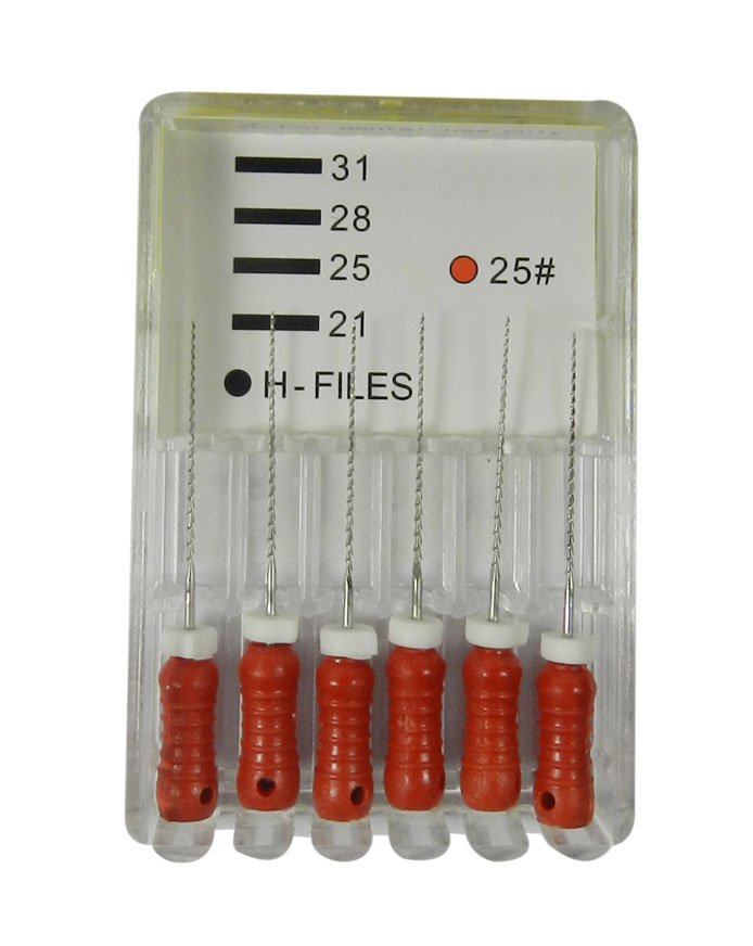 LD Dental Disposables endo instruments, size 10 SS H Files, pack of 6, with 21mm length for root canal procedures.