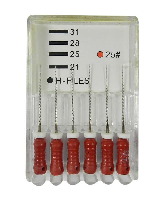 Pack of 6 LD Dental Disposables Endo Instruments LD H Files, size 10, stainless steel, 21 mm length for root canal procedures.