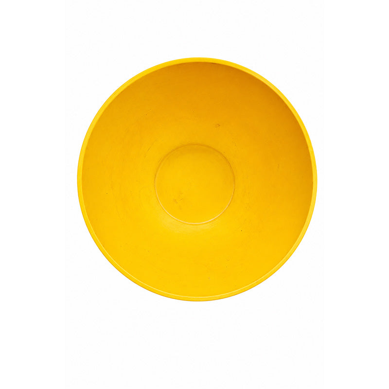 LD Dental Disposables nylon small and large bowl set of impression trays and materials for dental impressions.