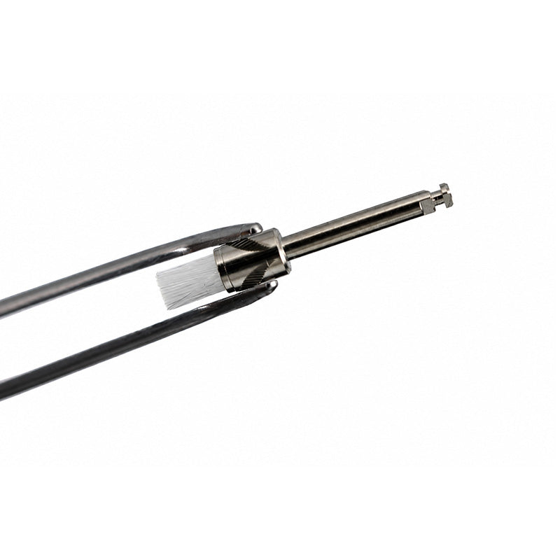 LD Nylon Polishing Brush for preventive dentistry, flat design, ideal for dental cleaning and polishing, part of LD Dental Disposables.