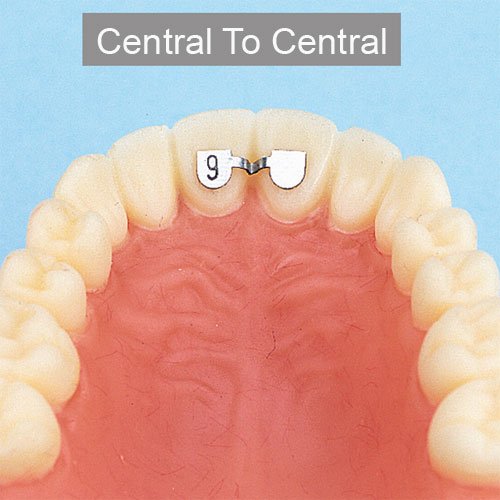 Leone Direct Bonding Lingual Retainer for lower cuspids, 37mm, pack of 1, designed for secure lingual dental retention.