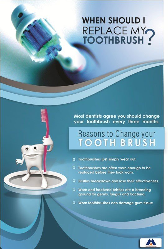 Poster English Change Your Tooth Brush - 050 - Libral Traders