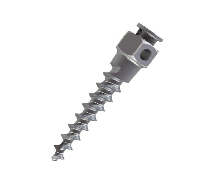 Rabbit Force RF Anchorage Mini Screw, 1/2 inch x 8, small metal screw for securing lightweight materials, shown in close-up.