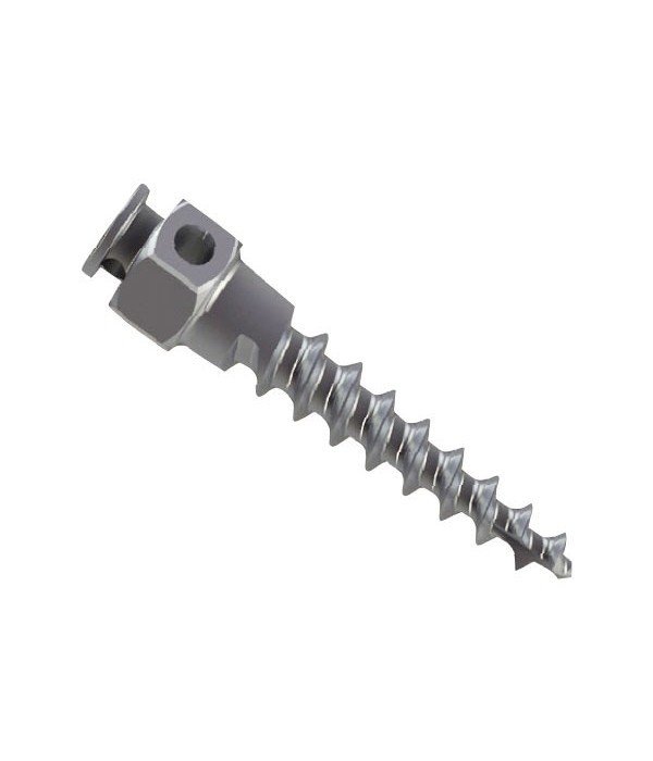 Rabbit Force RF Anchorage Mini Screw, 1/2 x 8 inch mini screw for fastening projects, shown in image with precise threading and head design.