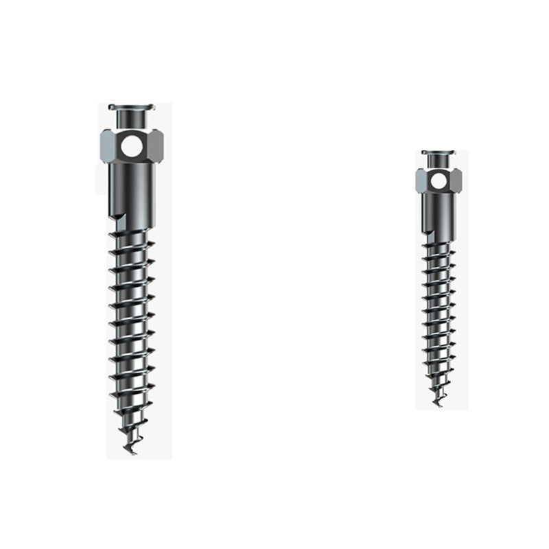 Rabbit Force RF Mini Screws, 2mm x 10mm buccal shelf orthodontic mini screws, shown in a close-up view.