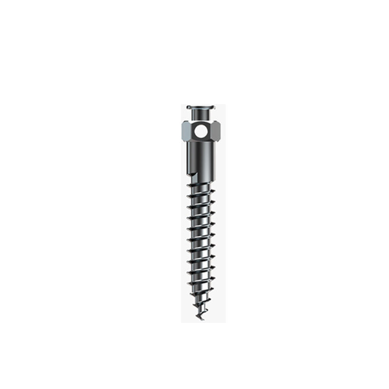 Rabbit Force RF Mini Screws, 2mm x 10mm buccal shelf orthodontic mini screws, shown in close-up with metallic finish and threading.