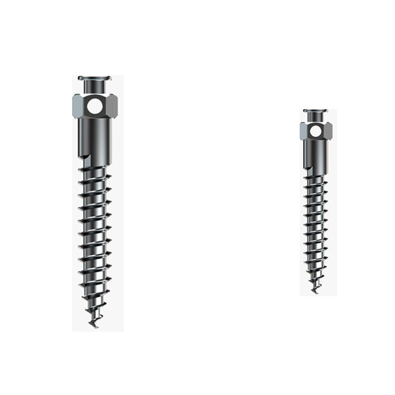 Rabbit Force RF Mini Screws, 2mm x 10mm buccal shelf orthodontic mini screws, small metal screws for orthodontic anchorage.