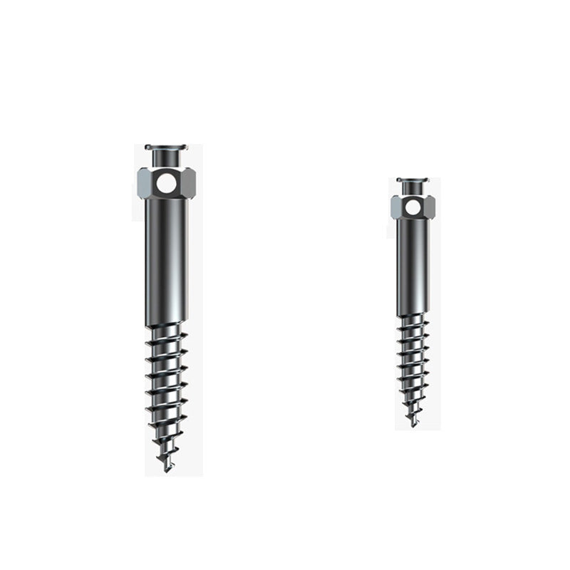 Rabbit Force RF Mini Screws, 2mm x 12mm infra zygomatic orthodontic mini screws for dental anchorage, shown in a close-up image.