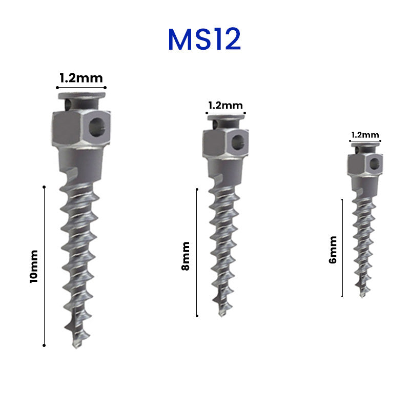 Rabbit Force Mini Screw Kit featuring small, precise screws ideal for detailed assembly or repairs.