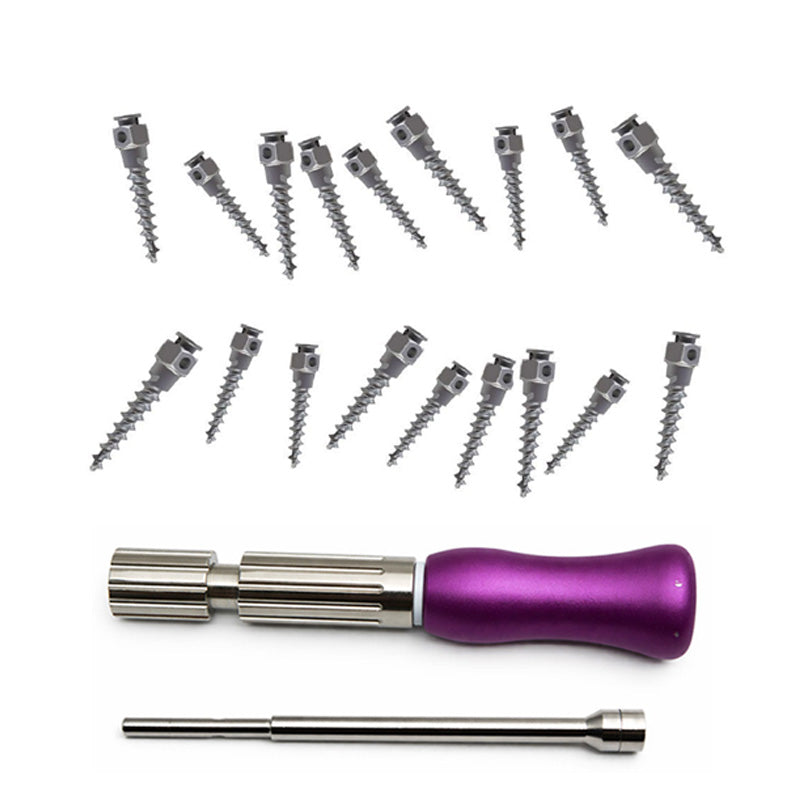 Rabbit Force Mini Screw Kit featuring small screws in a clear plastic case, ideal for precise assembly projects.