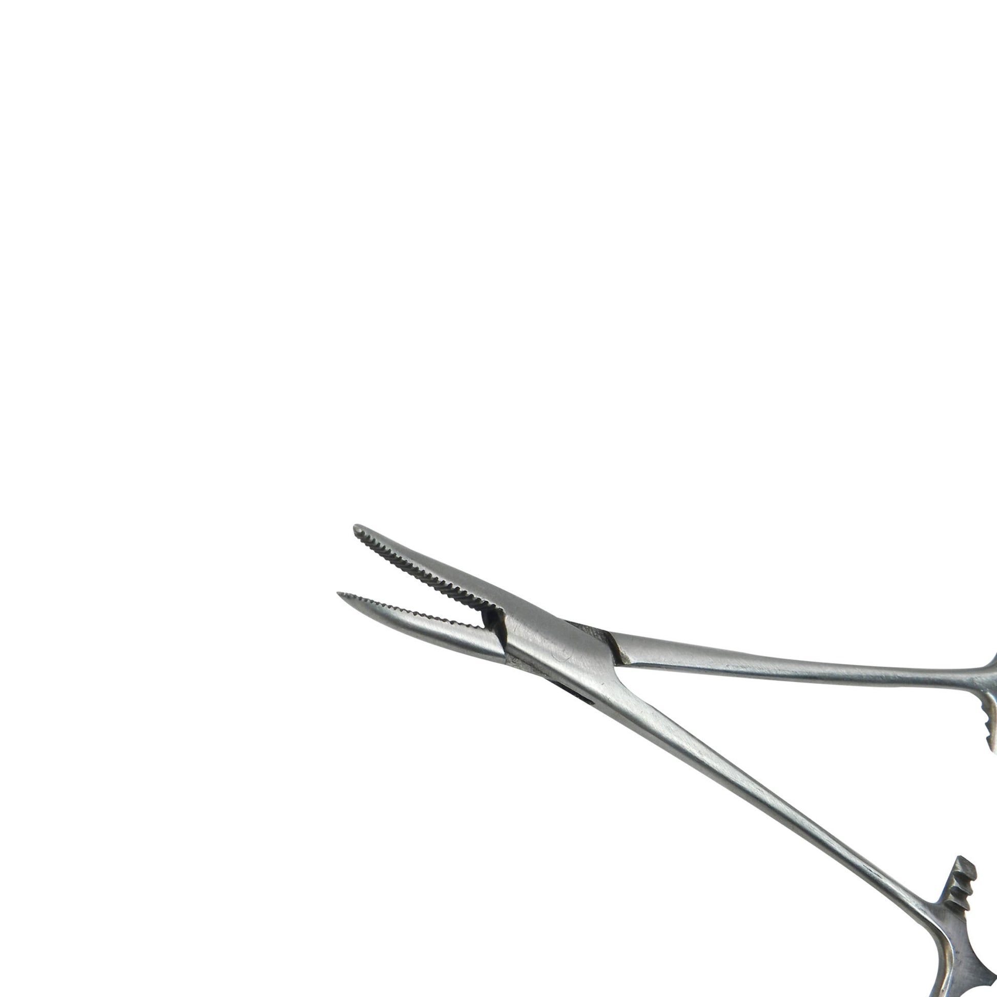 Curved Shree Artery Forceps from Shree Orthodontics, stainless steel surgical instrument for precise artery clamping.