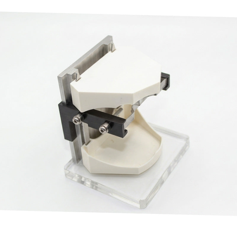 Shree Orthodontic Model Base Unit showing a detailed dental model base for orthodontic training and demonstration.