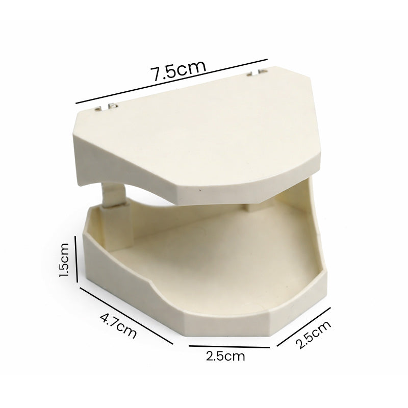 Shree Orthodontic Model Base Unit showing a detailed dental model base for orthodontic training and demonstration