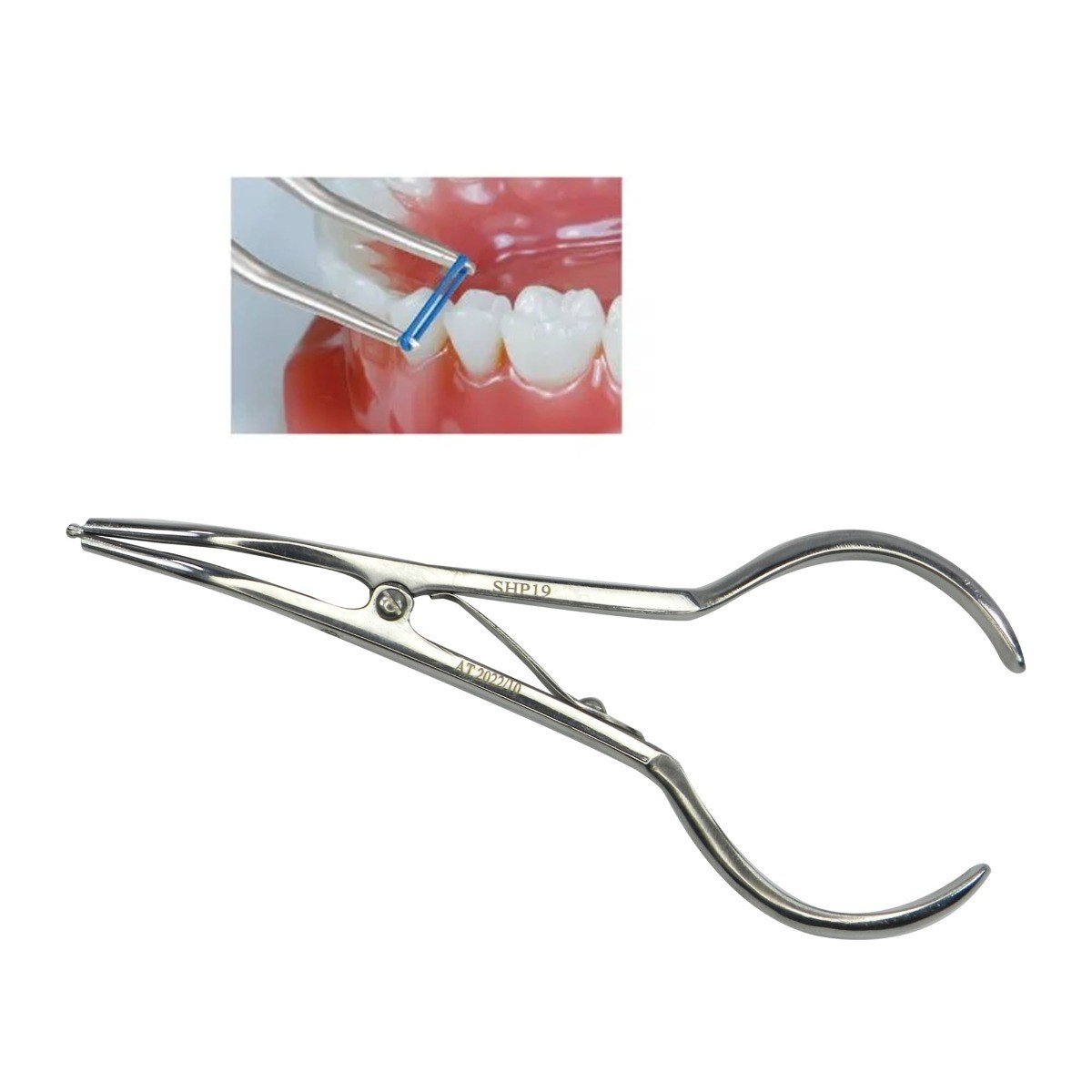 Shree Orthodontics Separator Placing Plier used for placing separators in orthodontic treatment, with a stainless steel design