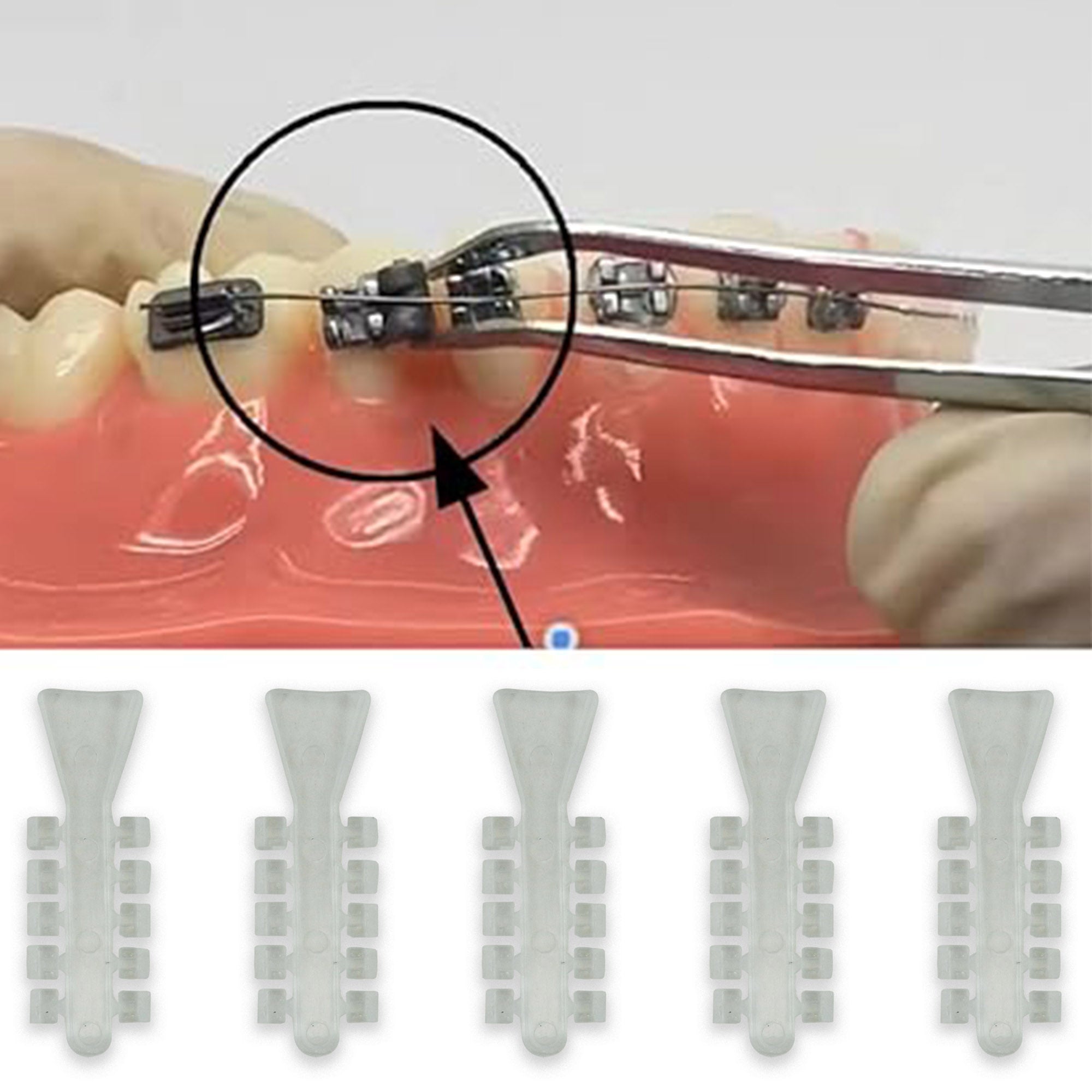 Captain Rotation Wedges