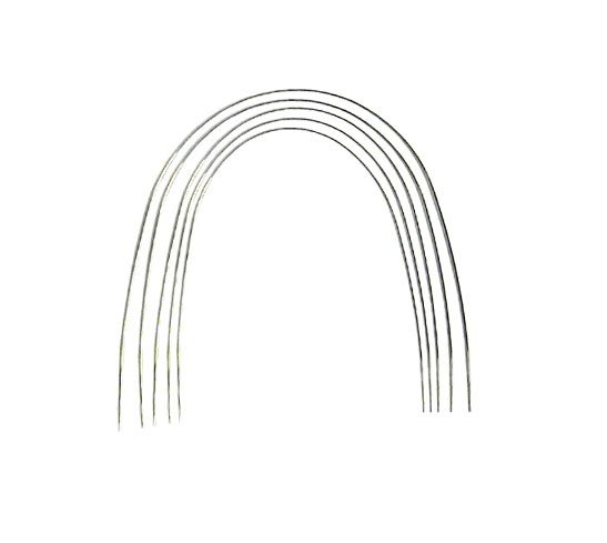 Dentaurum Niti Thermo-Active form Archwires - Libral Traders